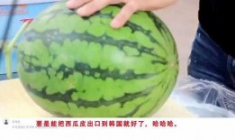 基本操作吃瓜,揭秘网络热议背后的真相与趣味