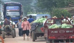 城市里吃瓜群众,揭秘都市生活百态