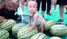 吃瓜大设计,揭秘网络时代下的娱乐狂欢与社交新趋势