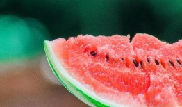 白色瓜当水果吃,白色瓜当水果的独特风味体验