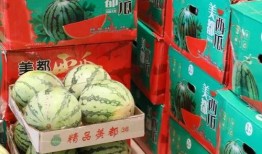 方城吃瓜事件,一场引发全民热议的网络狂欢