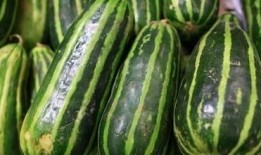 北湖许庄吃瓜,夏日炎炎，吃瓜群众欢乐多