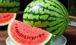 吃大瓜网,吃大瓜网带你领略明星幕后故事