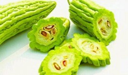 巨人吃的食物瓜,探寻瓜果之王的传奇故事