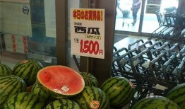 吃瓜大户,吃瓜大户带你领略明星幕后故事