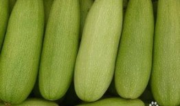 吃白瓜烧心,探寻夏日消暑美食的奥秘