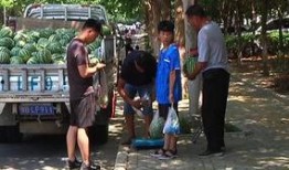 吃瓜群众肯定排队,揭秘热门事件背后的真相