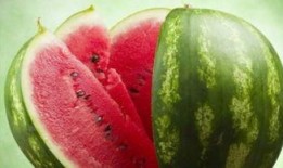 兰州老街抖音吃瓜,探寻地道美食背后的故事