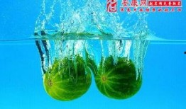 梦见吃瓜捡瓜,瓜果飘香，梦境中的甜蜜收获