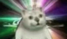 吃瓜人格,揭秘网络时代的“吃瓜人格”现象