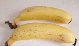 吃瓜蕉会过敏吗,吃瓜蕉真的会引发过敏反应吗？