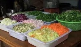 邹城田庄吃瓜,夏日里的“吃瓜”盛宴，感受乡村田园生活