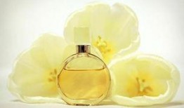 吃瓜喷香水,揭秘吃瓜喷香水的时尚潮流