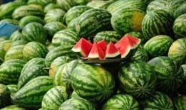 怎么回吃瓜,如何从吃瓜中获取最新资讯