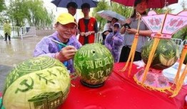 浙江吃瓜节目,揭秘当地美食文化，带你领略舌尖上的浙江