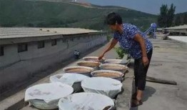 张大妈吃瓜,品味人间烟火