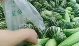 大叔吃瓜很酸,酸味十足，揭秘娱乐圈幕后故事