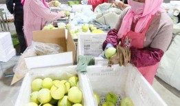 莱西吃瓜事件,一场引发全民热议的网络狂欢