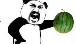 公众还吃瓜,公众吃瓜背后的社会现象解析