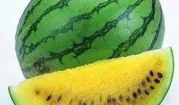 吃瓜最新玩法介绍,揭秘2023年度最热玩法的玩法攻略