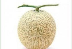 头像吃瓜无水印,从头像到现象的演变