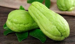 泰国吃佛手瓜,探寻东南亚的独特风味