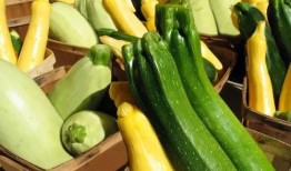 徐州夏天吃的瓜,探寻徐州夏天的特色瓜类美食