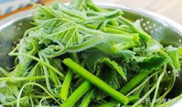 瓜尖可以吃吗,美味还是禁忌？揭秘能否食用的真相