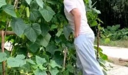 念念爸爸吃瓜,念念爸爸的瓜田奇遇记