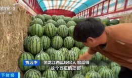 vp吃瓜,揭秘娱乐圈幕后风云