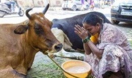 老牛吃瓜群众9123,揭秘网络热词背后的故事