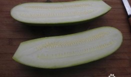 宝宝吃角瓜鸡蛋,宝宝辅食——角瓜鸡蛋新搭配