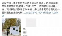 王高飞吃瓜,揭秘娱乐圈幕后故事