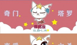 凑热闹吃瓜视频大全,揭秘娱乐圈幕后故事