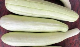 吃瓜线条头像,吃瓜线条头像引领潮流风尚