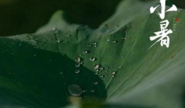 ch吃瓜,ch吃瓜，带你领略明星幕后故事