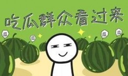 吃瓜最新玩法介绍,揭秘2023年度最热玩法的玩法攻略