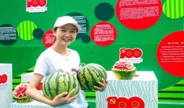 评比吃瓜,盘点那些让人捧腹大笑的瓜界风云