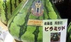 国人吃瓜群众搞笑,揭秘国人搞笑吃瓜瞬间