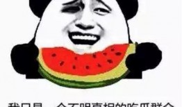 有个瓜吃不吃,揭秘“有个瓜吃不吃”背后的故事