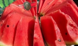 评比吃瓜,盘点那些让人捧腹大笑的瓜界风云