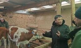 老牛吃瓜群众9123,揭秘网络热词背后的故事