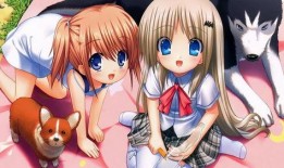 吃瓜系统动漫完结,从动漫完结到现实生活的甜蜜瓜果之旅