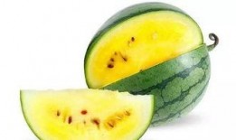 大脆瓜怎么吃,解锁清新口感新境界