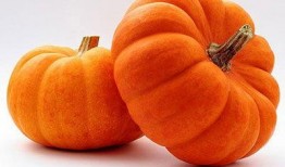 吃瓜的大橘,揭秘娱乐圈幕后风云