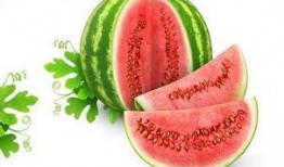 星芒吃瓜,揭秘娱乐圈幕后故事