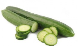 淡瓜减肥可以吃吗,健康美味两不误的减肥选择