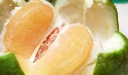 血糖高吃白瓜,白瓜助力健康生活