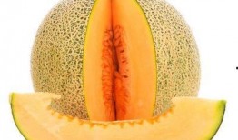 吃哈密瓜能喝茶,完美搭配的消暑饮品体验