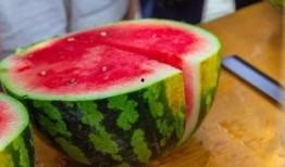 吃瓜大设计,揭秘网络时代下的娱乐狂欢与社交新趋势